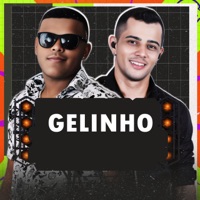 Gelinho - Single - João Pedro Amorim e Lf No Beat