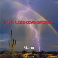 Storm (feat. Ali Burr) - Single - ChildRebel777