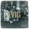 Evig