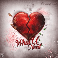 What u need (feat. 1MILL) - Single - Chanan