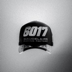 6017 - Single