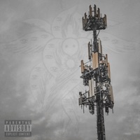 Wtm? - Single - Mavrik