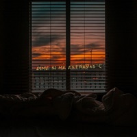 Dime Si Me Extrañas :( (feat. Willie Inspired) - Single - ViShoX