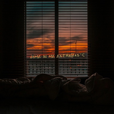 Dime Si Me Extrañas :( (feat. Willie Inspired) - Single