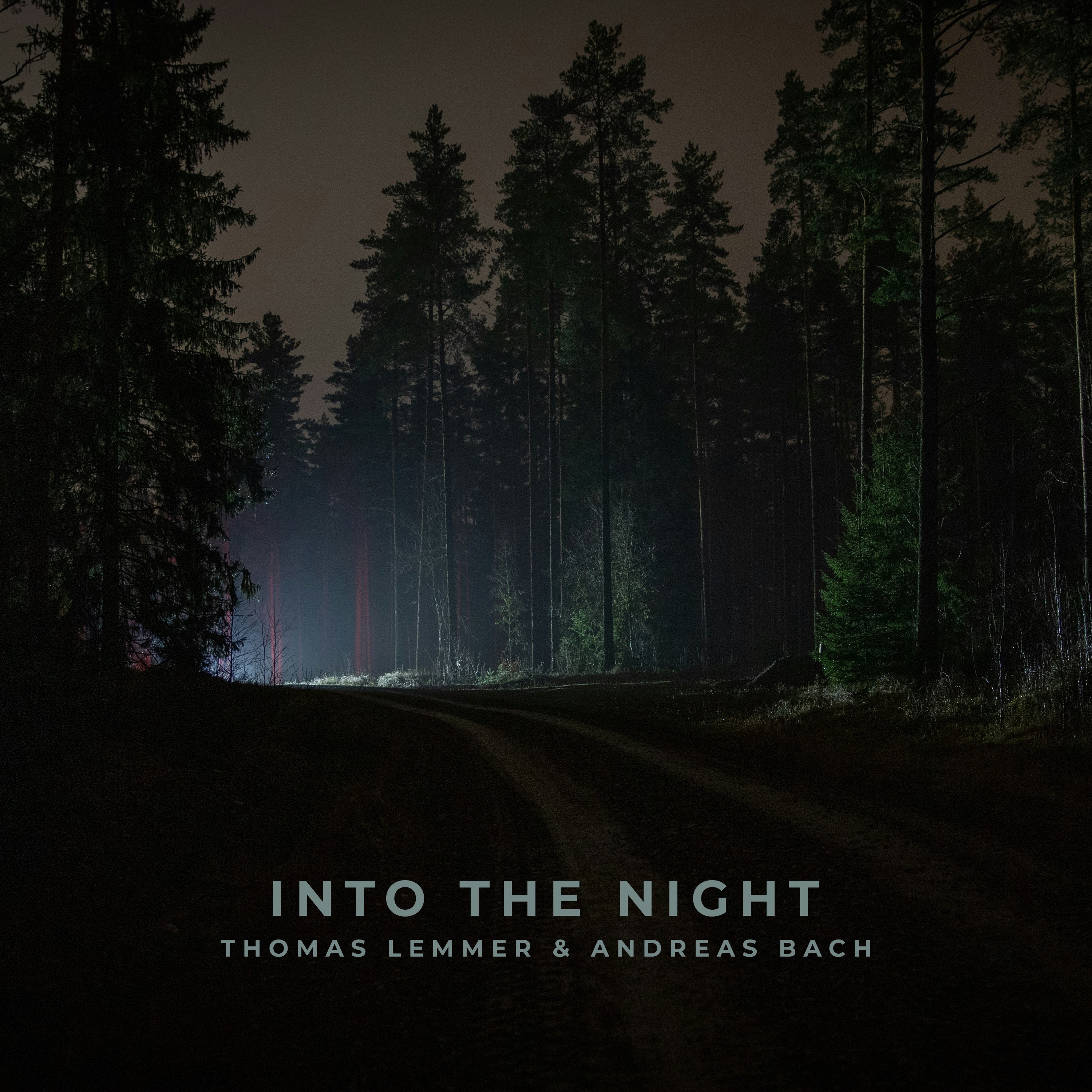 Into the Night - Single