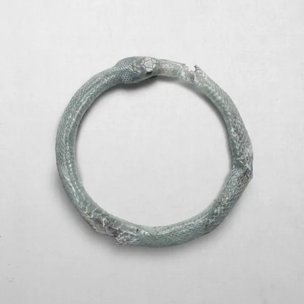 Sofía Reyes – IDGAF ERA (postdata) [2026]