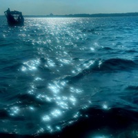 Oceans Apart - Single - Mi$fiit