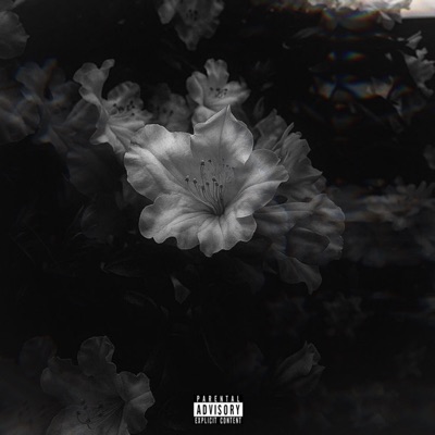 F!ori (feat. martiann) - Single