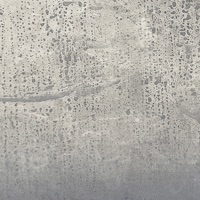 The Silver Path - Single - Markus Guentner