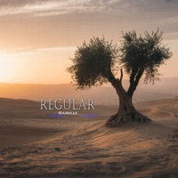 Regular - Single - Saroja & Amit Kumar