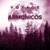 Armonicos