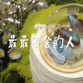最最不舍的人 王佳音