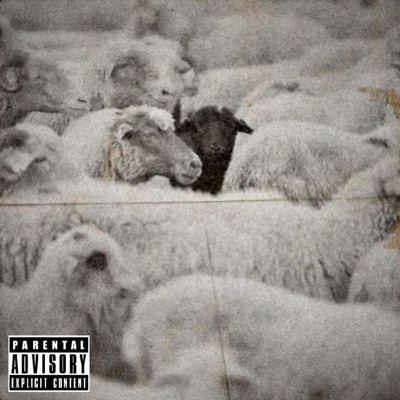 Black Sheep - Single