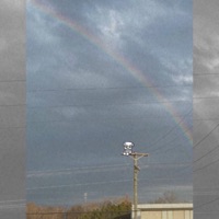 whyd i fall for u - Single - Jolue