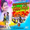 Chamra Tolai Nachbo Dujon Bihar Dine - Single