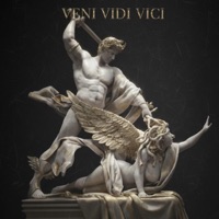 VENI VIDI VICI - Marty Mard
