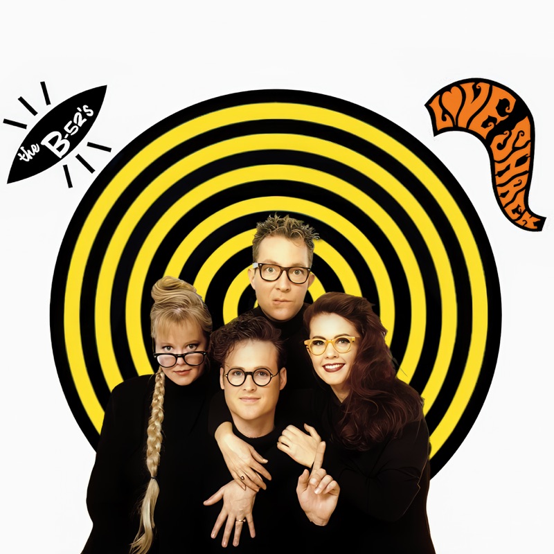 Meaning of  by The B-52's