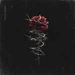 SOLO SPINE - Single