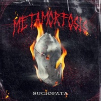 El Arte del Desapego (feat. Don Bustos) - Single - suciopata