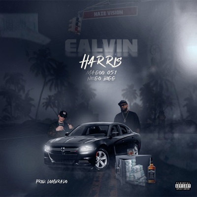 Calvin Harris - Single