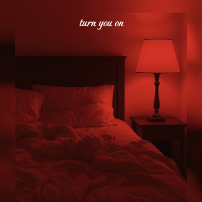 TURN YOU ON - Single
