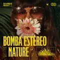Algo Está Cambiando: Earth Remix