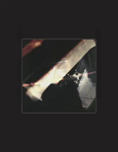 Moiré Lights을(를) 듣고, 뮤직 비디오를 보고, 약력을 읽고, 투어 일정 등을 확인하세요!