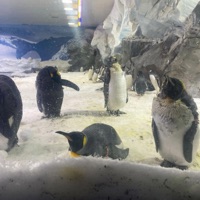 zot bowls (19thou) - Single - Danny Prolific