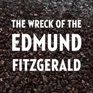 The Wreck of the Edmund Fitzgerald - Single