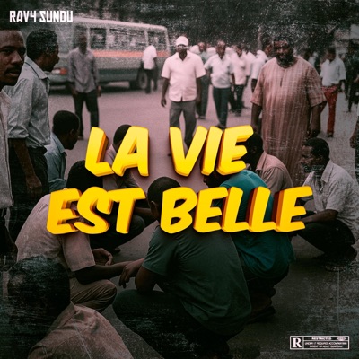 Song - La vie est belle - RAV4 SUNDU