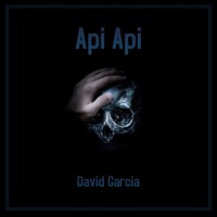 Api Api - Single - Tussilandia, David Garcia, Aleteo Vip HD & Guaracha Aleteo Vip