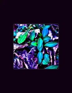 Listen to Willnano, watch music videos, read bio, see tour dates & more!