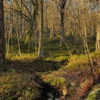 whimsy and all - Single - Sebastian Jautschus