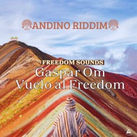 Vuelo al Freedom - Single - Freedom Sounds & Gaspar OM