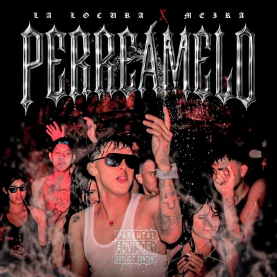 Perreamelo - Single