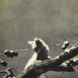 Lost & Found (feat. ROCHNGTHEWRLD) Iam2000