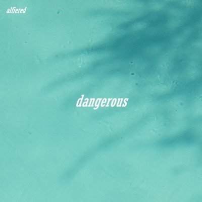 Dangerous - Single