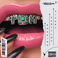 TQM x2 (feat. Roobird & Santtlov) - Single - Vizart
