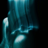 Shapeshifter - Single - VOLO