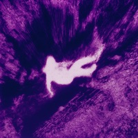 ECLIPSE - EP - RONVXER, LXST FXREWELL, lakkerro & 1NZZiDENT