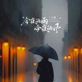 今夜的雨今夜的风 (DJ阿尼版) Wang Na