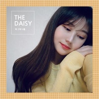 Why Did You - Single - THE DAISY