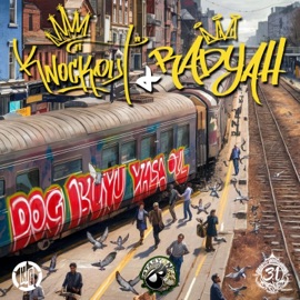 Doğ Büyü Yaşa Öl (feat. Radyah) Knock Out