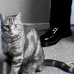 Scuffed Docs - Single