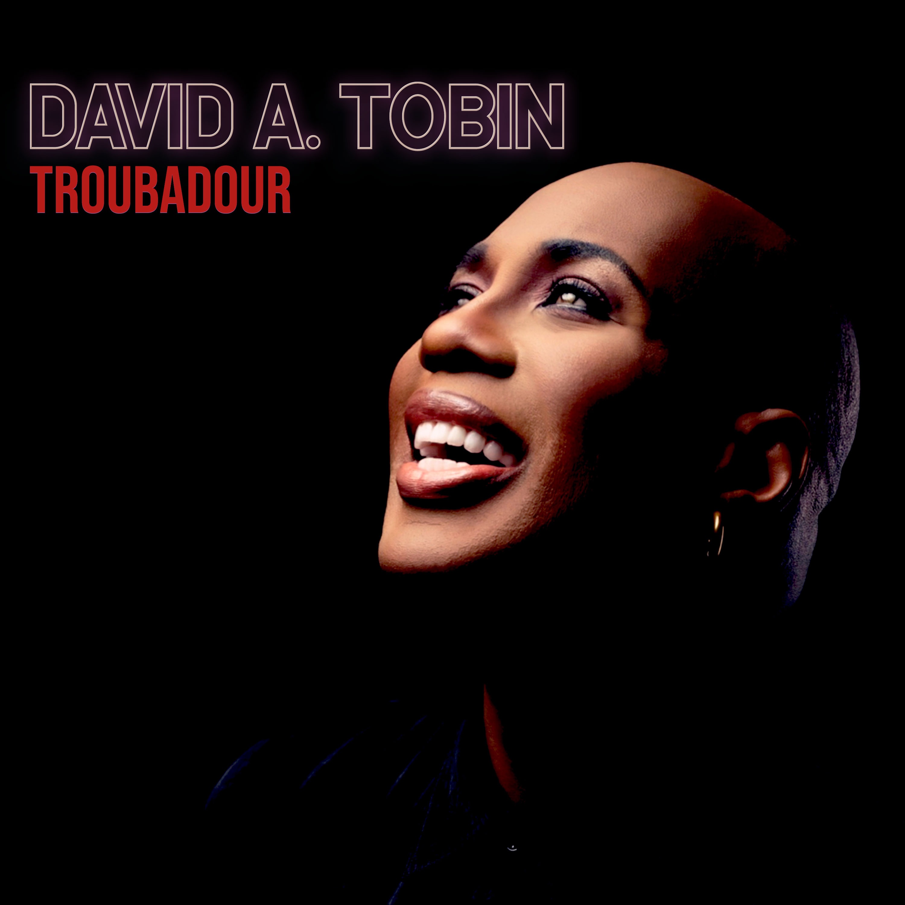 DAVID A. TOBIN - Troubadour