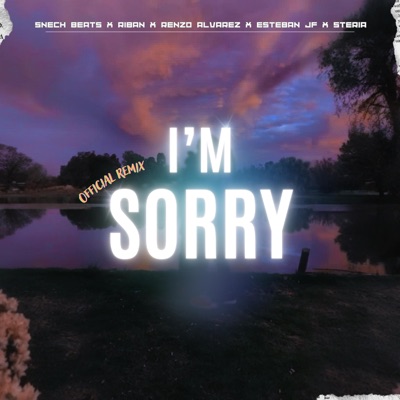 IM SORRY (feat. Riban, Renzo Alvarez, Esteban JF & Steria) [REMIX] - Single