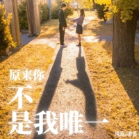 原来你不是我唯一 - Single - 风范 & 番番