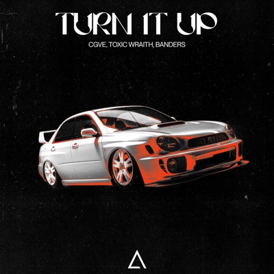 Turn It Up - Single