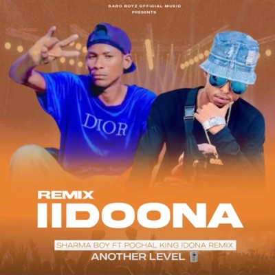 Iidoona (feat. Sharma boy) [Remix] - Single