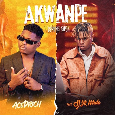 Akwanpe (feat. Dj Yk Mule) [Speed Up] - Single